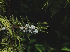 -百里山水画廊