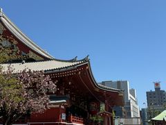 -浅草寺