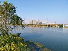 -金银湖国家城市湿地公园