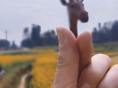 -美心红酒小镇游乐园
