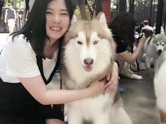 -TrueLove @ Neverland (Husky Cafe)