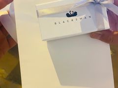 -BLACKSWAN黑天鹅(环球店)