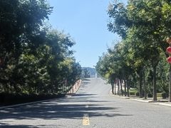 -龙口南山旅游景区