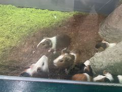 -福州罗源湾海洋世界旅游区