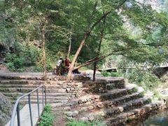 -九龙潭景区