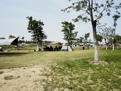 -春花秋色城市公园