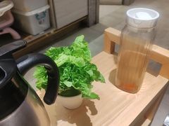 -陈记顺和潮汕牛肉火锅(番禺迎宾大道店)