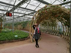 -东南花都花博园