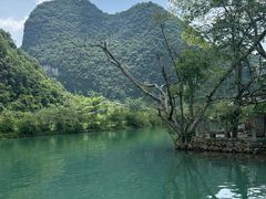 -靖西鹅泉风景区