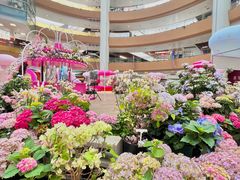 -上海长风大悦城