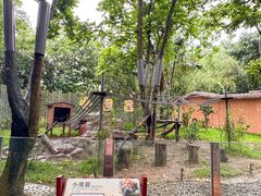 -深圳野生动物园