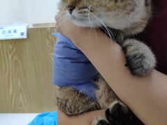 -芭比堂动物医院·CT·微创中心(新顺分院)