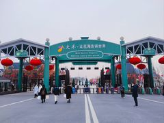 -荷兰花海