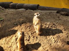 -北京野生动物园