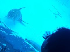 -横琴湾水世界