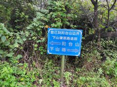 -阳台山自然风景区