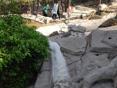 -燕塞湖鸟语林景区