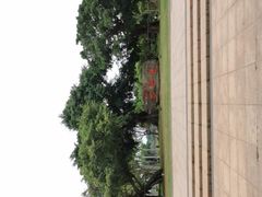 -万绿园