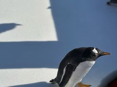 -沈阳奥体冰雪嘉年华