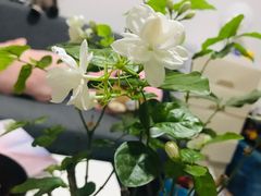 -望湘园·洞庭渔宴(永旺店)