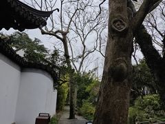 -秋霞圃