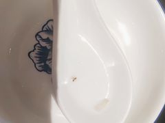 -海岛八号龙虾烧烤田鸡(蓝天路总店)