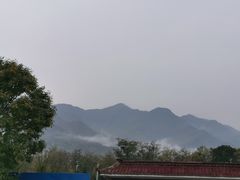 -北京鹫峰国家森林公园