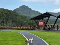 -广州市石门国家森林公园