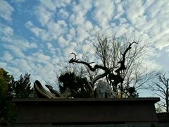 -泰州凤城河风景区-泰山公园