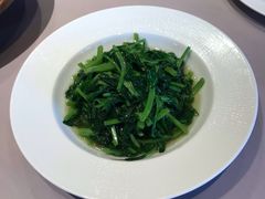 清炒豆尖-翠府(翠湖北路店)