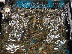 -江杨农产品批发市场