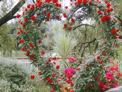 -人民公园(罗湖区)