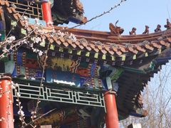 -大连植物园