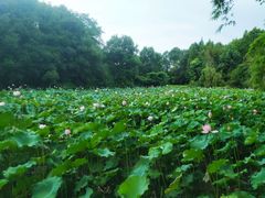 -邓小平故里