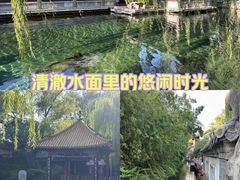 -趵突泉景区