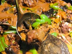 野生甲鱼-茶叁酒肆·楚味江湖(菱角湖店)