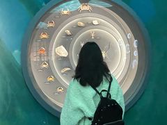 -中国湿地博物馆