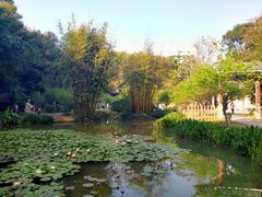 -广州市白云山风景名胜区