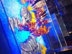 -源·咖啡自助餐厅·海鲜·烧烤·三文鱼(海口华彩洲际酒店)