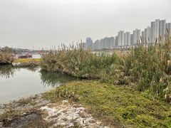 -大小河街
