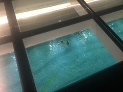 -四季酒店·空中花园 Aria on 9