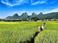 -万峰林风景区