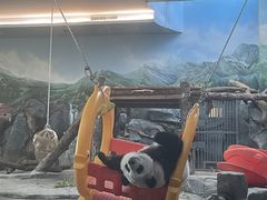 -武汉动物园