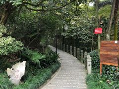 -十八棵（老龙井）御茶园(老龙井店)
