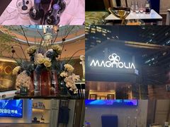 -MAGNOLIA商务·娱乐KTV(金玉兰店)