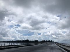 -东郊椰林
