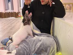 -浣熊柯尔鸭土拨鼠·电玩咖