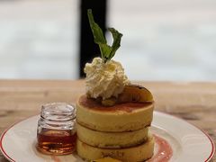 -Elephant Grounds(STARSTREET)