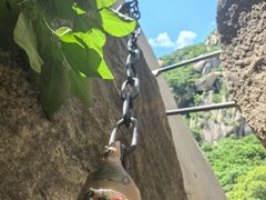 -北京凤凰岭