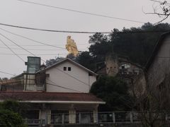 -大金鹰园